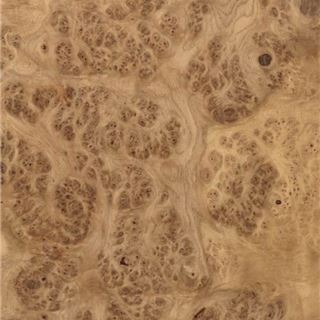 欧洲白橡树瘤 European Oak Burl